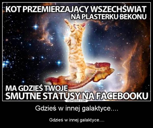 Kot przemierzający wszechświat na plasterku bekonu ma gdzies twoje smutne statusy na facebooku