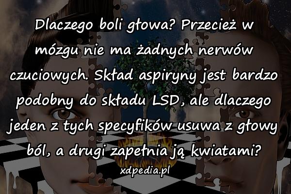 Dlaczego boli głowa? Przecież w mózgu nie ma żadnych nerwów czuciowych. Skład aspiryny jest bardzo podobny do składu LSD, ale dlaczego jeden z tych specyfików usuwa z głowy ból, a drugi zapełnia ją kwiatami?