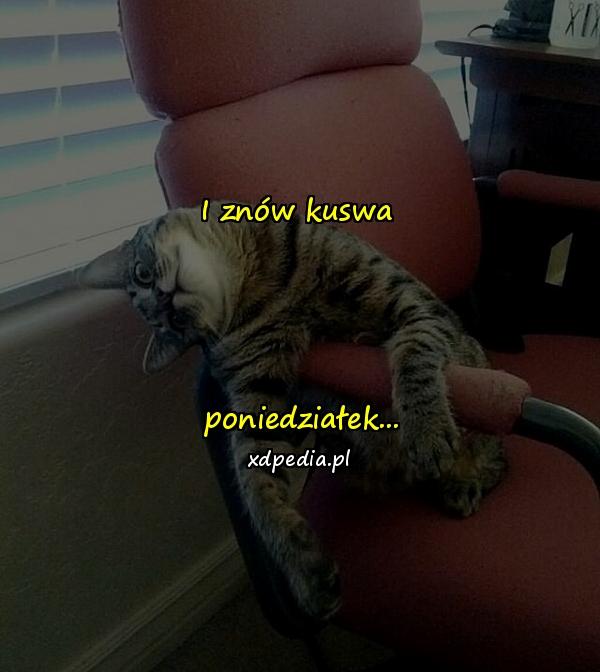 I znów kuswa



 poniedziałek...