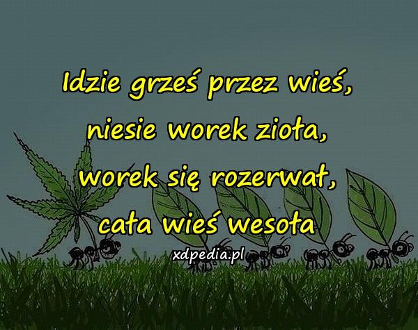 Idzie grześ przez wieś,
niesie worek zioła,
worek się rozerwał,
cała wieś wesoła