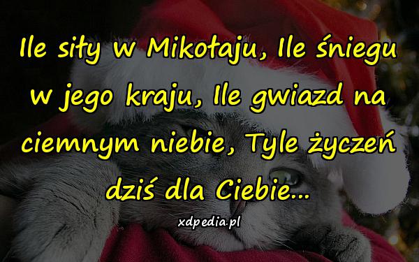 Ile siły w Mikołaju, Ile śniegu w jego kraju, Ile gwiazd na ciemnym niebie, Tyle życzeń dziś dla Ciebie...