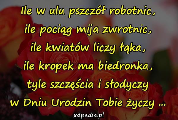 Ile w ulu pszczół robotnic,
ile pociąg mija zwrotnic,
ile kwiatów liczy łąka,
ile kropek ma biedronka,
tyle szczęścia i słodyczy
w Dniu Urodzin Tobie życzy ...