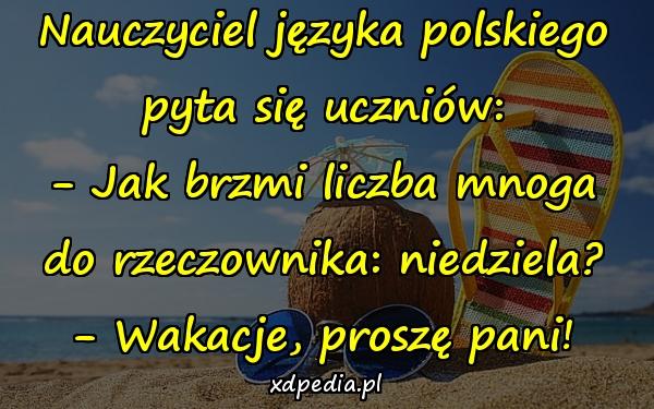 Nauczyciel języka polskiego pyta się uczniów: - Jak brzmi liczba mnoga do rzeczownika: niedziela? - Wakacje, proszę pani!