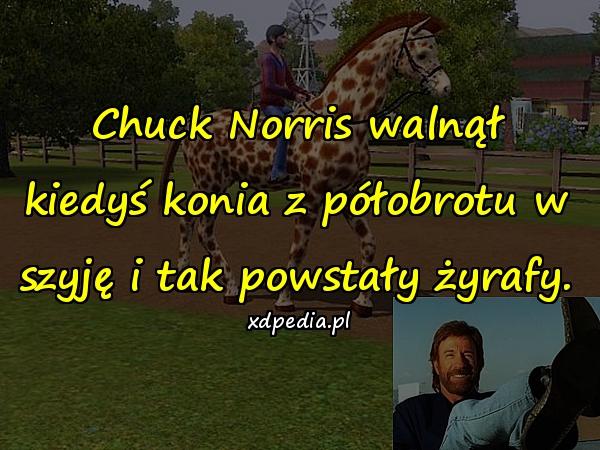 Chuck Norris walnął kiedyś konia z półobrotu w szyję i tak powstały żyrafy.