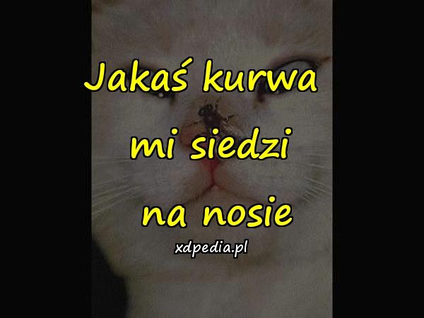 Jakaś kurwa 
mi siedzi
 na nosie