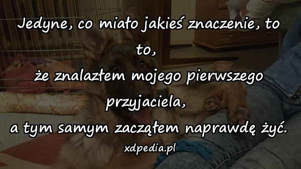 Jedyne, co miało jakieś znaczenie, to to, 
że znalazłem mojego pierwszego przyjaciela, 
a tym samym zacząłem naprawdę żyć.