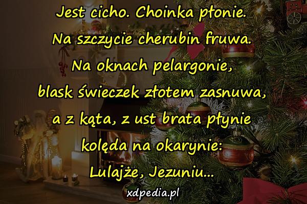 Jest cicho. Choinka płonie.
Na szczycie cherubin fruwa.
Na oknach pelargonie,
blask świeczek złotem zasnuwa,
a z kąta, z ust brata płynie
kolęda na okarynie:
Lulajże, Jezuniu...