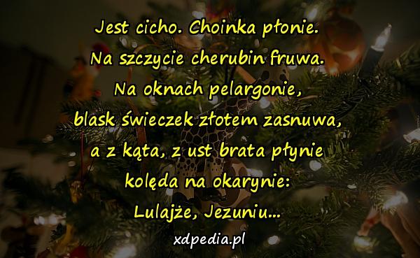 Jest cicho. Choinka płonie.
Na szczycie cherubin fruwa.
Na oknach pelargonie,
blask świeczek złotem zasnuwa,
a z kąta, z ust brata płynie
kolęda na okarynie:
Lulajże, Jezuniu...