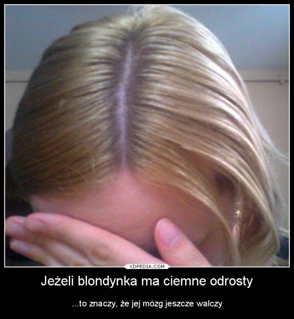 Jeżeli blondynka ma ciemne odrosty ...to znaczy, że jej mózg jeszcze walczy