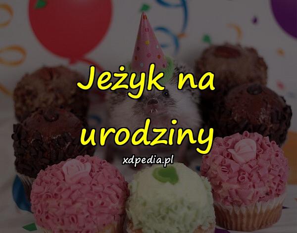 Jeżyk na urodziny