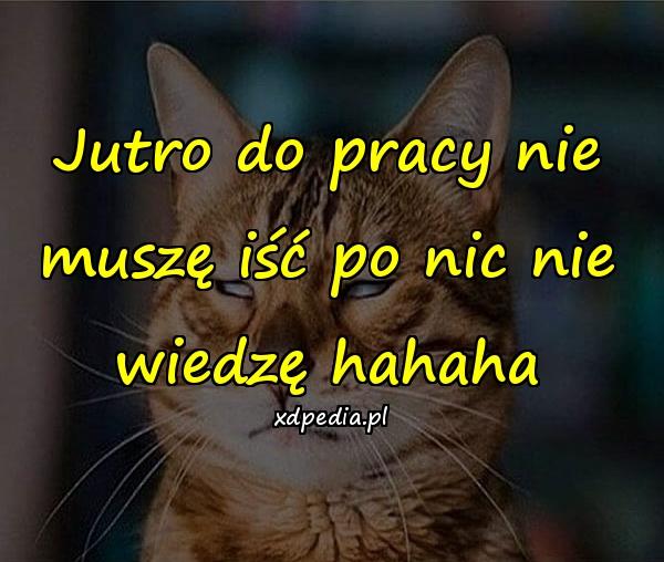 Jutro do pracy nie muszę iść po nic nie wiedzę hahaha