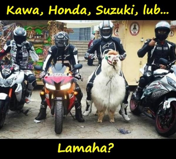 Kawa, Honda, Suzuki, lub... Lamaha?