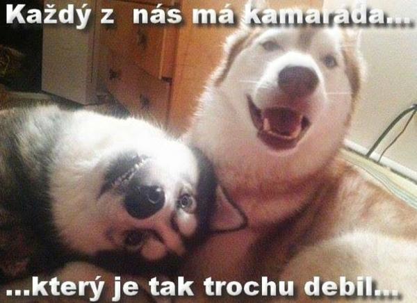 Każdy z nas ma kamarada....
który je tak trochę debil....