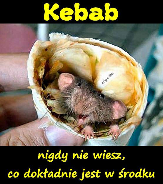Kebab - nigdy nie wiesz, co dokładnie jest w środku
