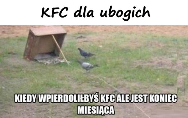 KFC dla ubogich
