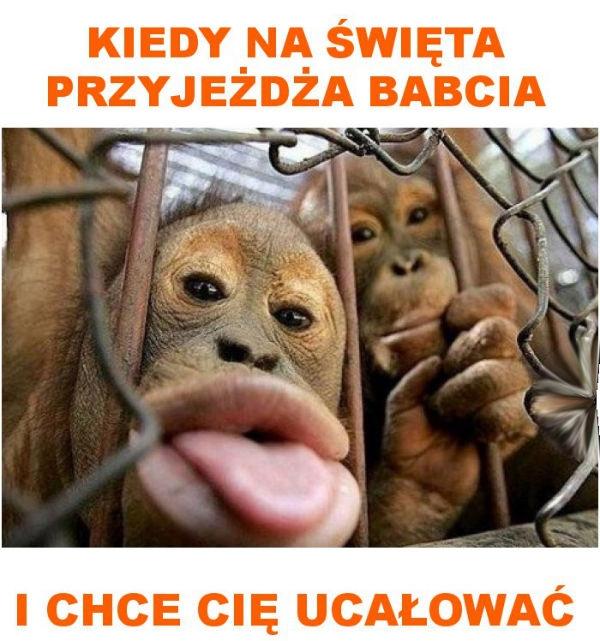 Kiedy na święta przyjeżdża babcia
i chce cię ucałować