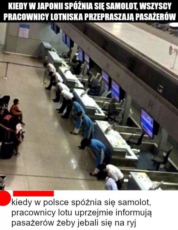 Kiedy w Japonii spóźnia się samolot, wszyscy pracownicy lotniska przepraszają pasażerów. Kiedy w Polsce spóźnia się , pracownicy lotu uprzejmie informują pasażerów, żeby jebali się na ryj.