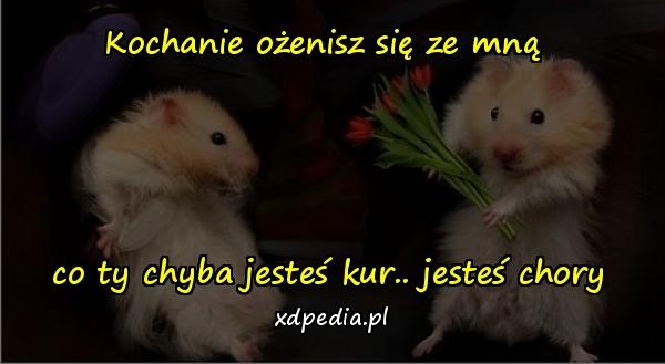 Kochanie ożenisz się ze mną 



co ty chyba jesteś kur.. jesteś chory