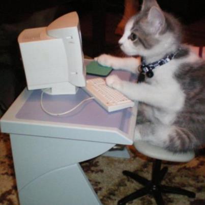 Kot: Choruję na ZUI zespół uzależnienia od internetu lub jak wolisz sieciocholizm xD