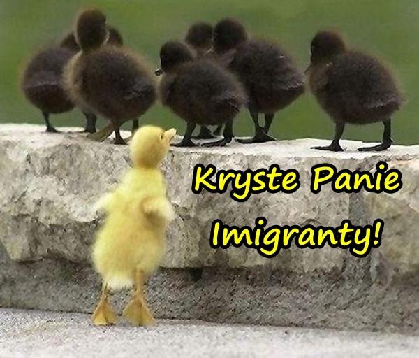 Kryste Panie Imigranty!
