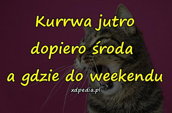 Kurrwa jutro dopiero środa 
a gdzie do weekendu