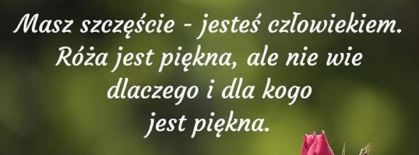 Masz szczęście jesteś człowiekiem
róża jest piękna, ale nie wie
dlaczego i dla kogo jest piękna