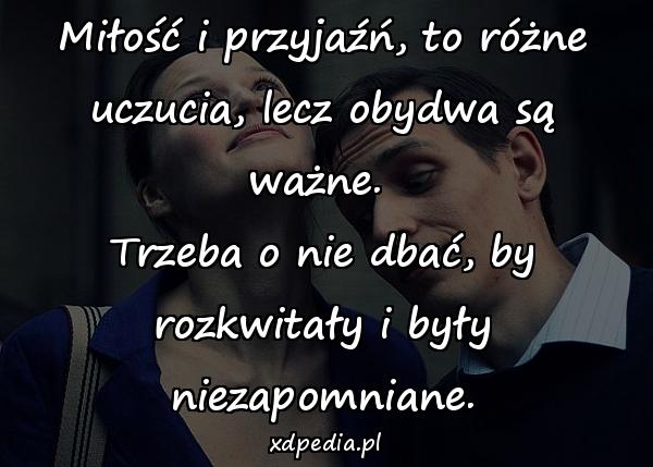 Miłość i przyjaźń, to różne uczucia, lecz obydwa są ważne. 
Trzeba o nie dbać, by rozkwitały i były niezapomniane.