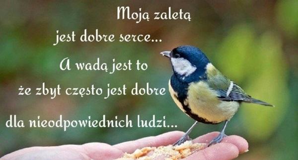 Moje zalety jest dobre serce... 
a wady jest to że zbyt często
jest dobrze dla nieodpowiedzialnych ludzi