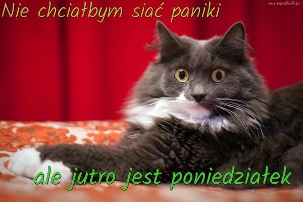 Nie chciałbym sieć paniki
ale jutro jest poniedziałek