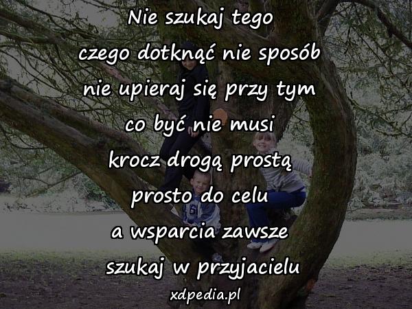 Nie szukaj tego 
czego dotknąć nie sposób 
nie upieraj się przy tym 
co być nie musi 
krocz drogą prostą 
prosto do celu 
a wsparcia zawsze 
szukaj w przyjacielu