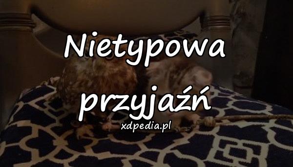 Nietypowa przyjaźń