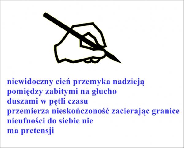 Niewidoczny cień przemyka nadzieje 
pomiędzy zabitymi na głucho
dusza pętli czasu
przemierza nieskończoność zacierając granice
nieufność do siebie nie
ma prentesji