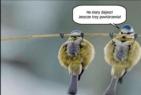 No stary dajesz!
jeszcze trzy powtórzenia!