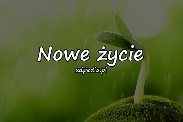 Nowe życie