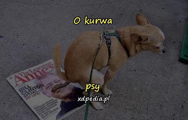 O kurwa



psy