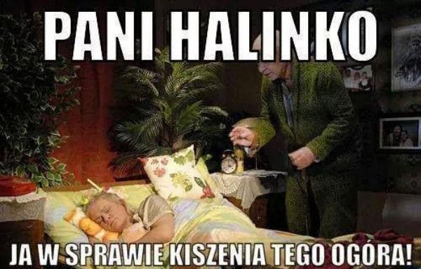 Pani Halinko\nja w sprawie kiszenia tego ogórka!