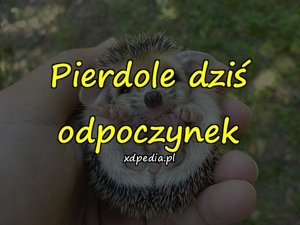 Pierdole dziś odpoczynek