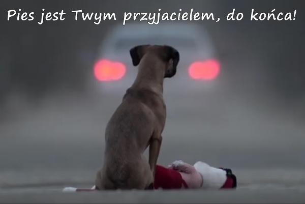 Pies jest twym przyjacielem,
do końca