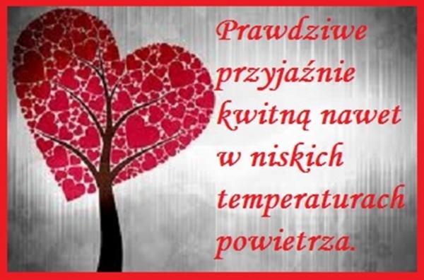 Prawdziwa przyjaźń
kwitną nawet niskich
temperaturach powietrza