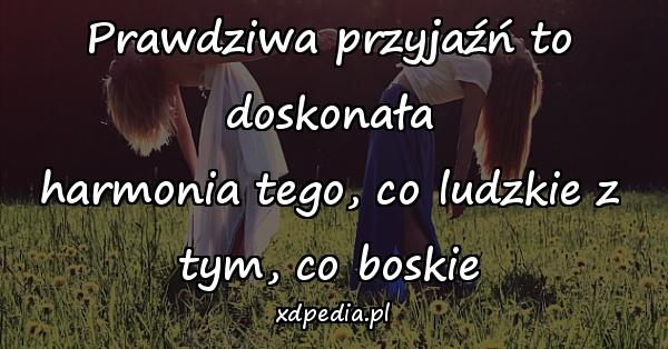 Prawdziwa przyjaźń to doskonała
harmonia tego, co ludzkie z tym, co boskie