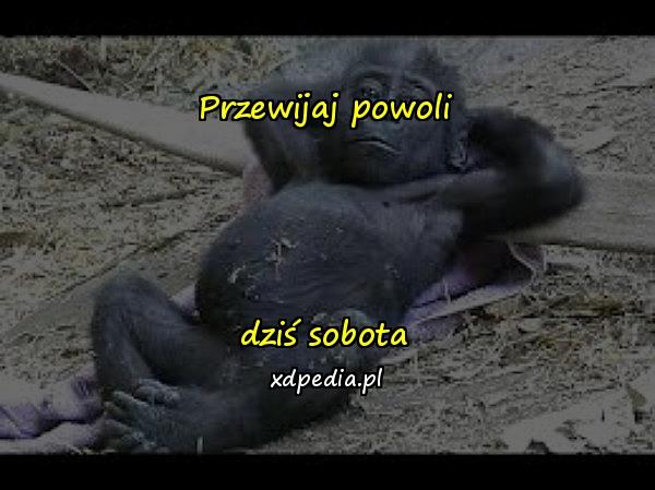 Przewijaj powoli



dziś sobota