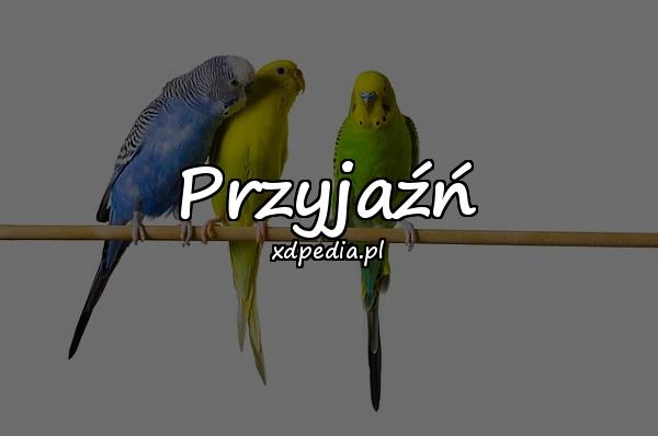 Przyjaźń