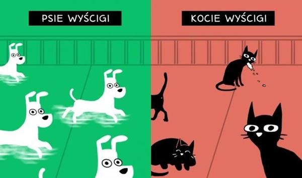 Psie wyścigi vs. Kocie wyścigi