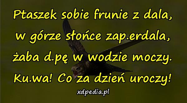 Ptaszek sobie frunie z dala,
w górze słońce zap.erdala,
żaba d.pę w wodzie moczy.
Ku.wa! Co za dzień uroczy!