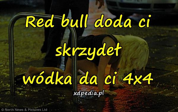 Red bull doda ci skrzydeł
wódka da ci 4x4