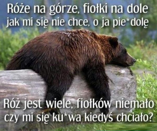 Róża na górze, fiołki na dole \njak mi się nie chce o ja pie*dolę\nróż jest wiele, fiołków niemało \nczy mi się ku*wa kiedyś chciało