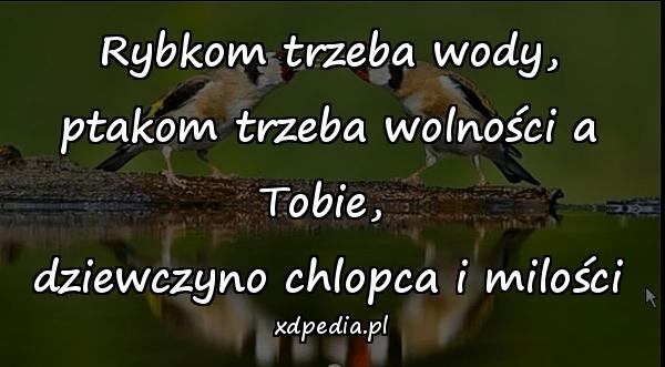 Rybkom trzeba wody,
ptakom trzeba wolności a Tobie, 
dziewczyno chlopca i milości