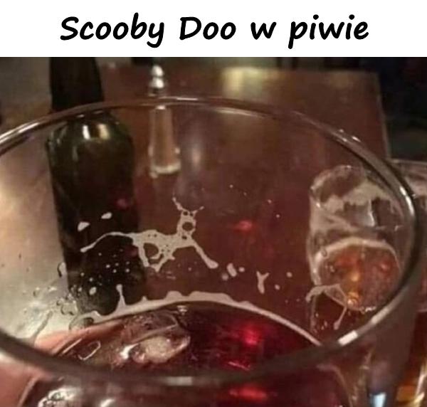 Scooby Doo w piwie