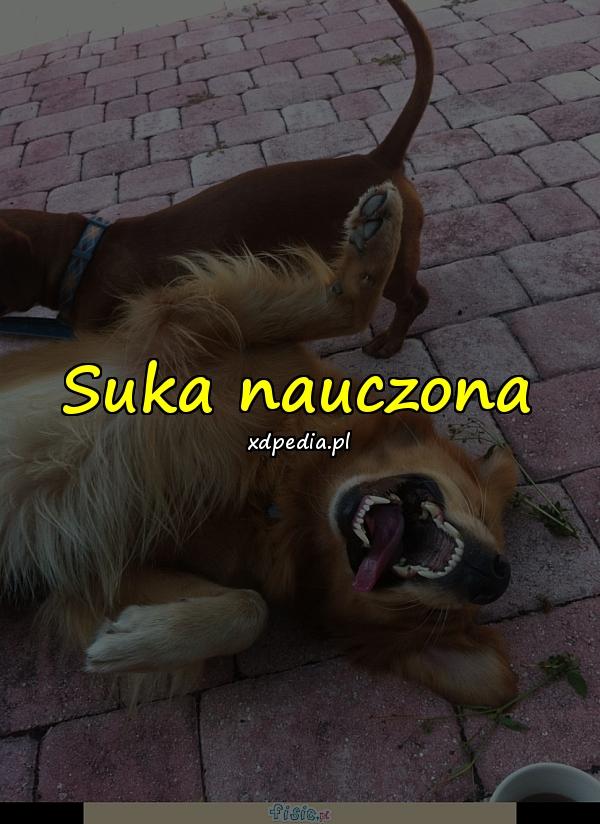 Suka nauczona