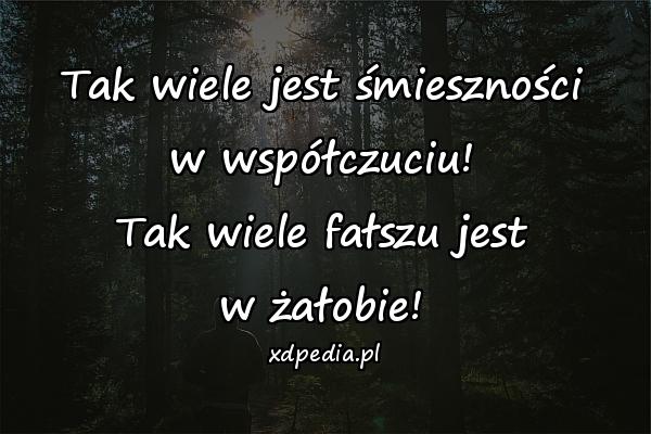 Tak wiele jest śmieszności
w współczuciu!
Tak wiele fałszu jest
w żałobie!